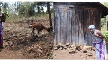 From Struggle to Strength: Flora’s Journey of Hope