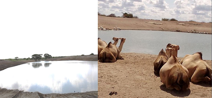 Food Security & Climate Actions towards resilient communities