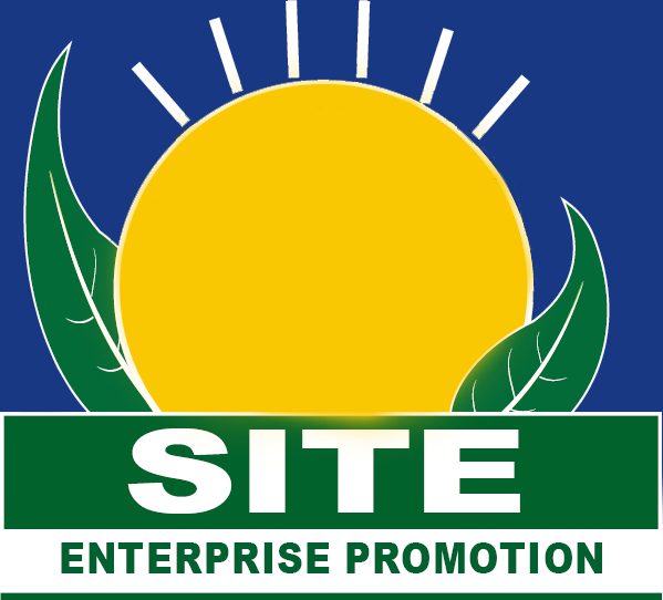 SITE Enterprise Promotion